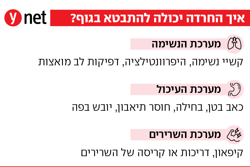 "חרדה היא תחושת איום מתמשכת, גם כשאין גירוי ברור" פחד וחרדה