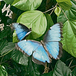 צילום: אורנה בן חיים yk14480203