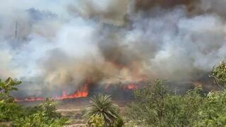 שריפה בכביש 1