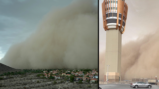 פיניקס סופת חול
