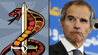 סמל יחידת קוברה של שירותי הביטחון ב אוסטריה