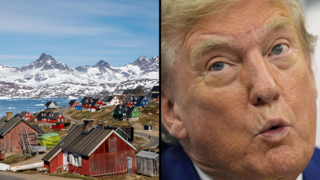 נשיא ארה"ב, גרינלנד