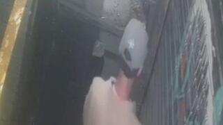 תיעוד: חשוד מצית בית עסק בשוק מחנה יהודה