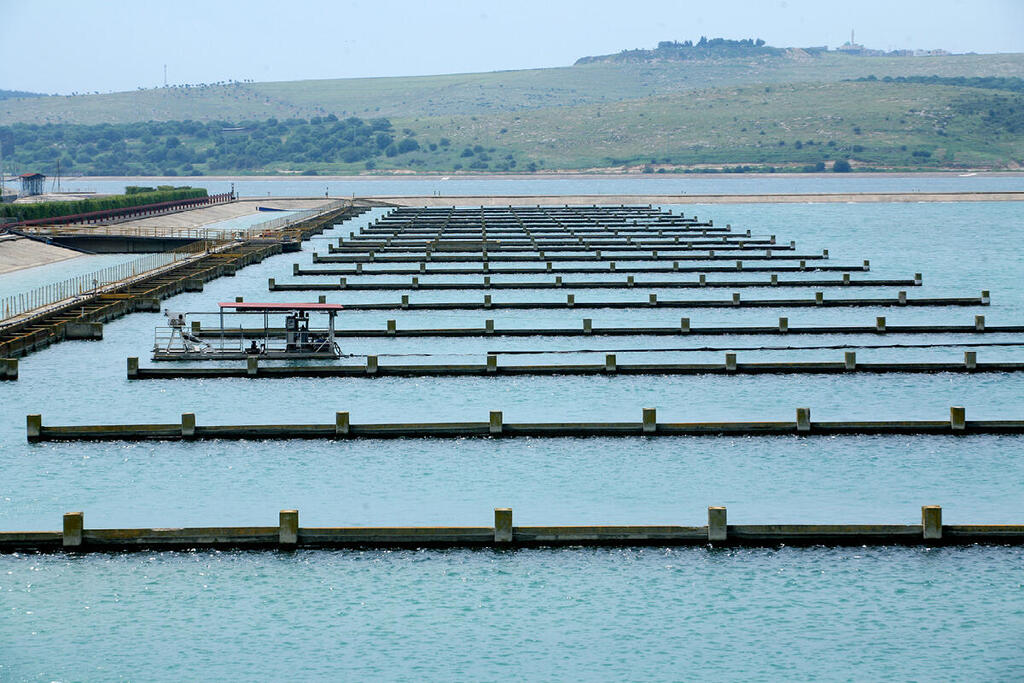 חדשנות בחברת מקורות מקורות
