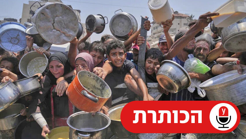 חלוקת מזון בעזה (צילום: AP/Abdel Kareem Hana) חלוקת מזון בעזה