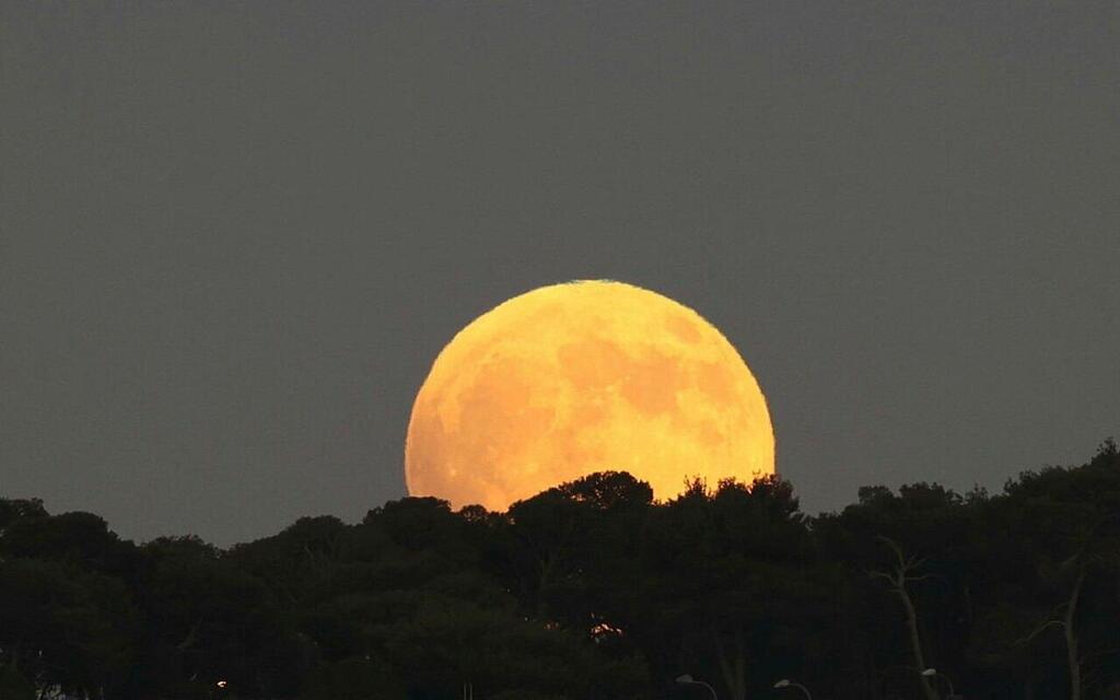 ירח מלא של אמצע חודש