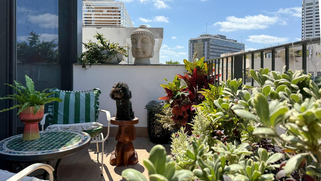 The balcony, inspired by an exotic getaway (Photo: Noam Ron) הדירה של דנה ואורי ריץ, תל אביב
