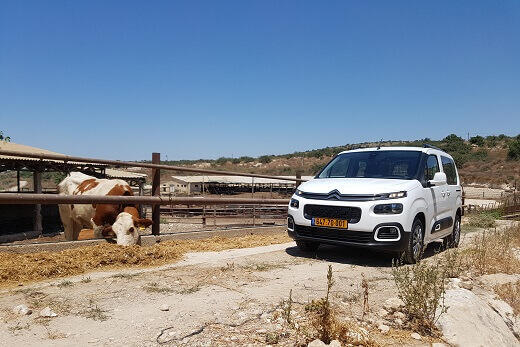 סיטרואן ברלינגו