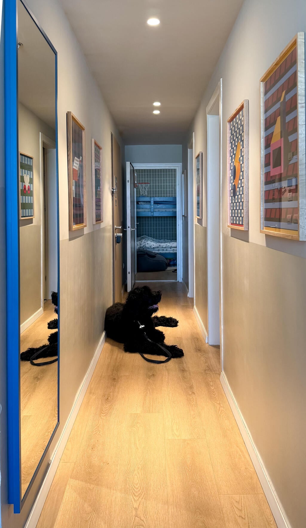 The lower part of the wall was painted in an easy-to-clean finish because of the dogs (Photo: Noam Ron) הדירה של דנה ואורי ריץ, תל אביב