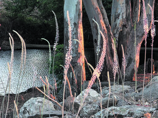 צילום: יפעת פלד