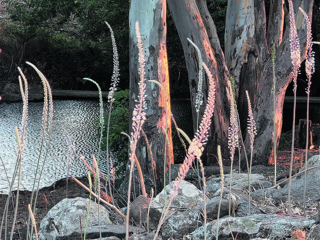 צילום: יפעת פלד