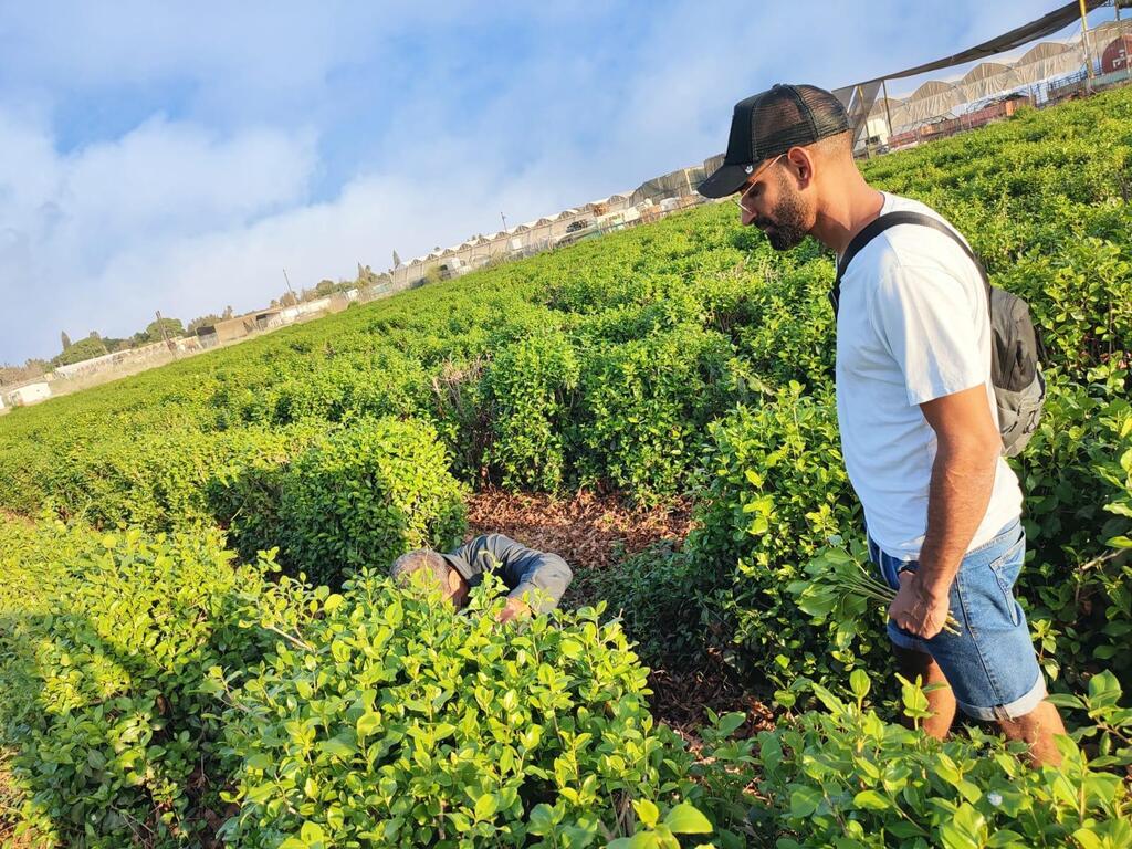 תרופה משפחתית שעוברת מדור לדור. אופק מלחי (צילום: אלבום ביתי) אופק מלחי