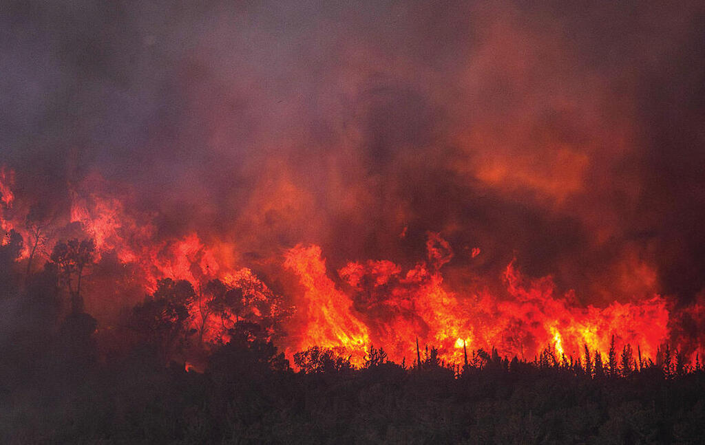 צילום: אלכס קולומויסקי yk14523361