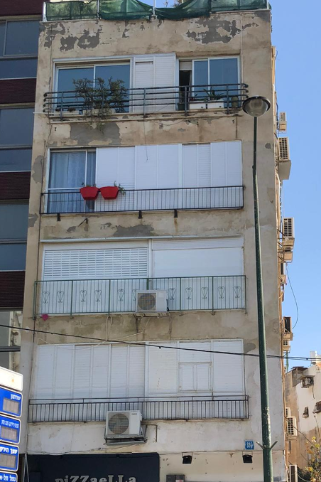 דיזינגוף 334 לפני