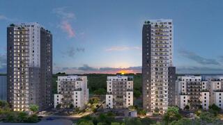 פרויקט כרמי גת SPECIAL