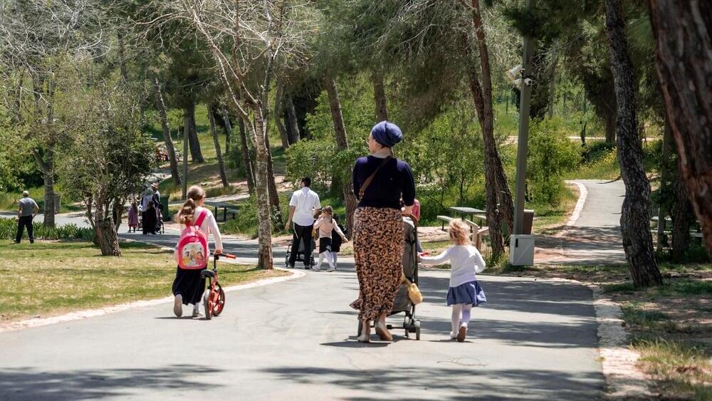זמן לא-פרודוקטיבי, וטוב שכך (צילום: Mayan Nemanov / Shutterstock.com) שבת
