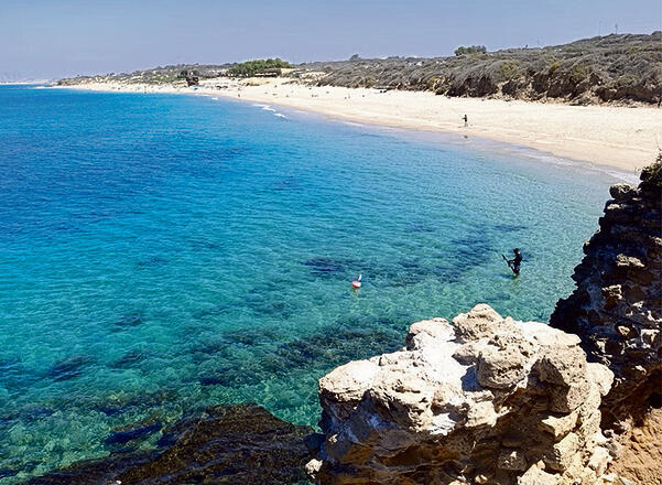 צילום: ערן גל-אור yk14519659