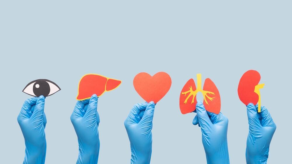 השתלת איברים