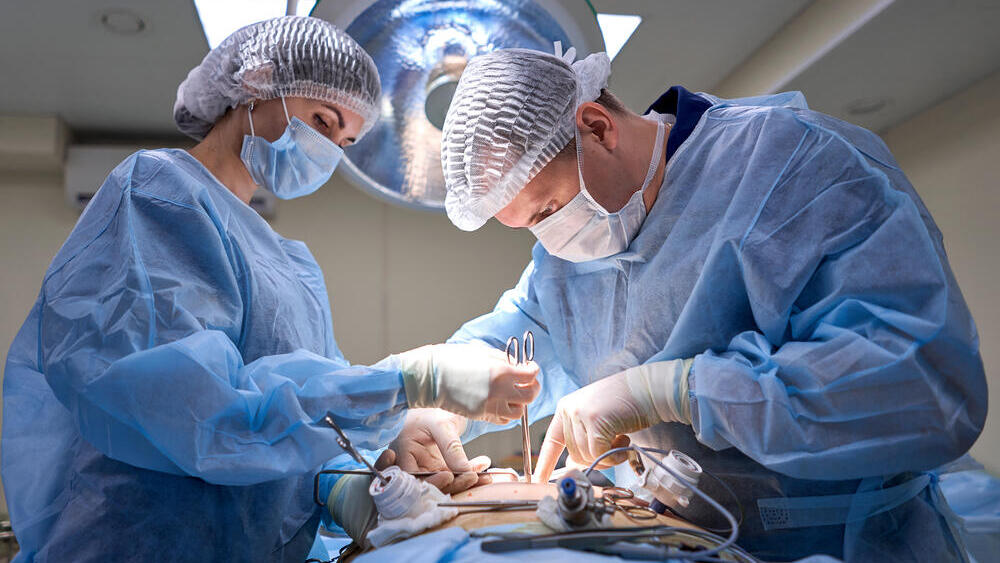 השתלת איברים