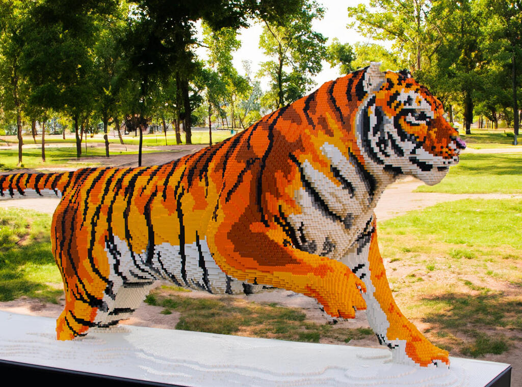 חגיגת סוכות בעכו