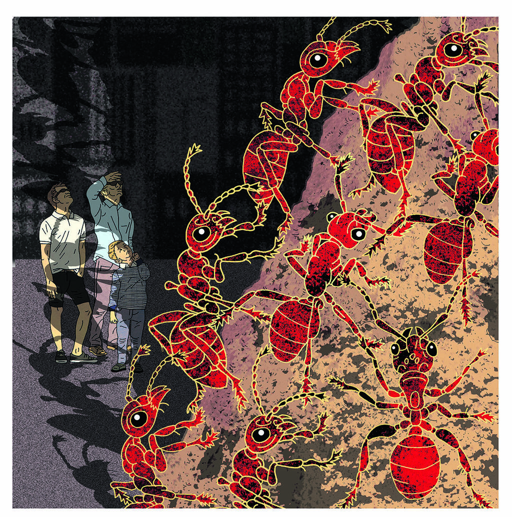 איור: מירה פרדימן