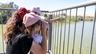 צפרתון