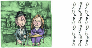 איור: צחי פרבר