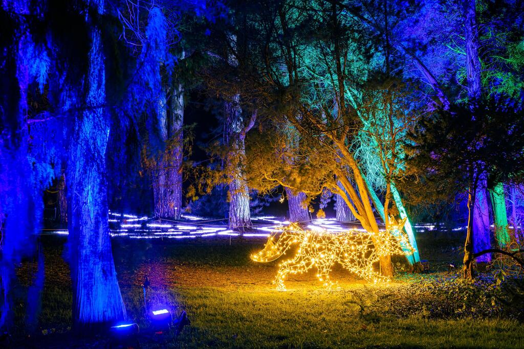 christmas-garden-berlin-2022