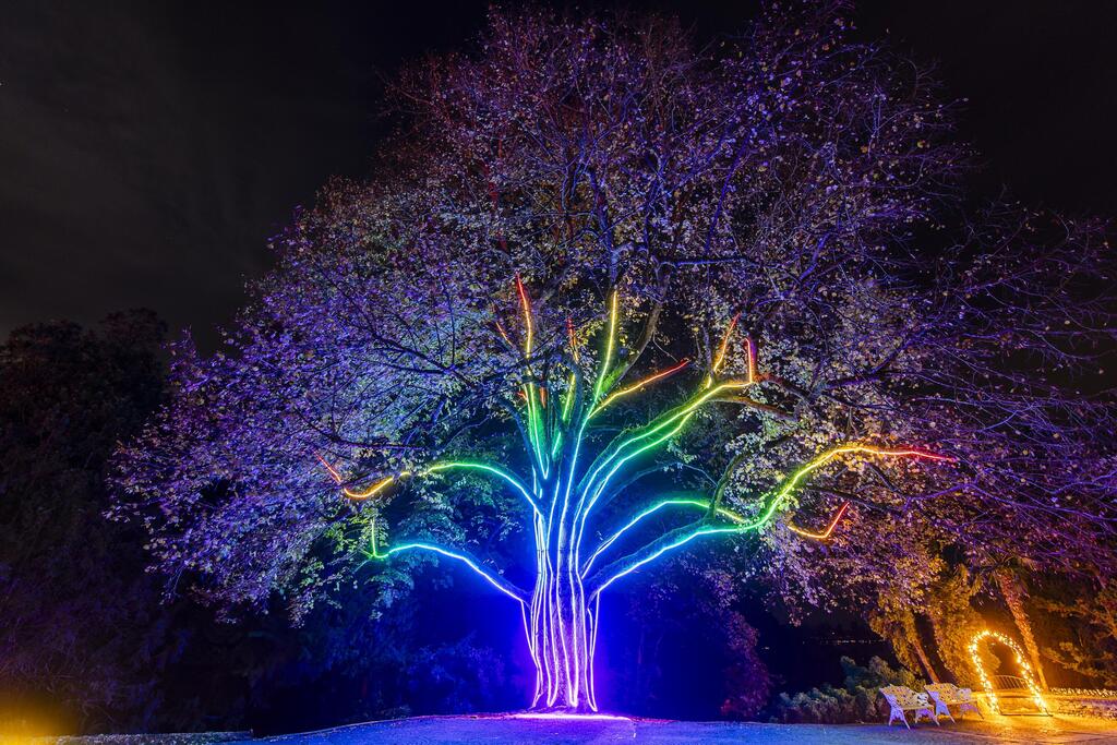 christmas-garden-insel-mainau-2024