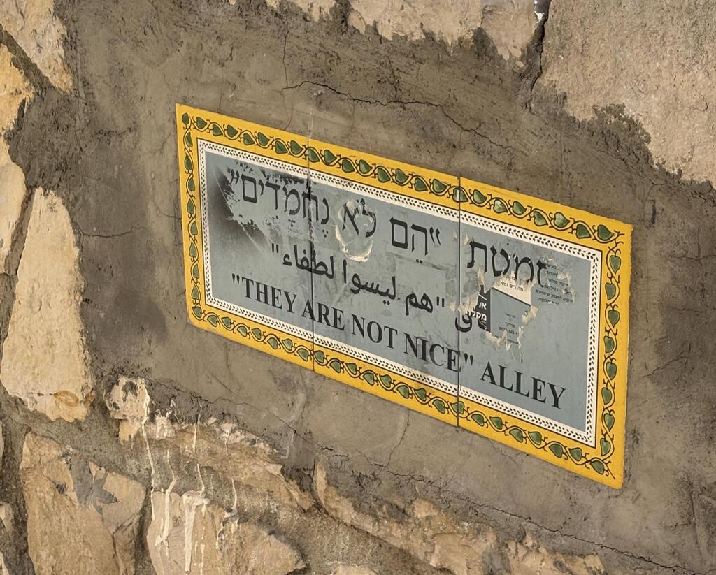 סמטת "הם לא נחמדים" בשכונת מוסררה (צילום: יוליה פריליק-ניב) סמטת "הם לא נחמדים" בשכונת מוסררה