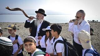 תוקעים בשופרות