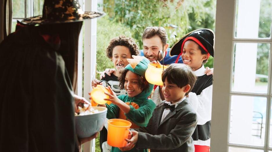 זה לא הסיפור שלנו. האלווין (צילום: shutterstock) האלווין