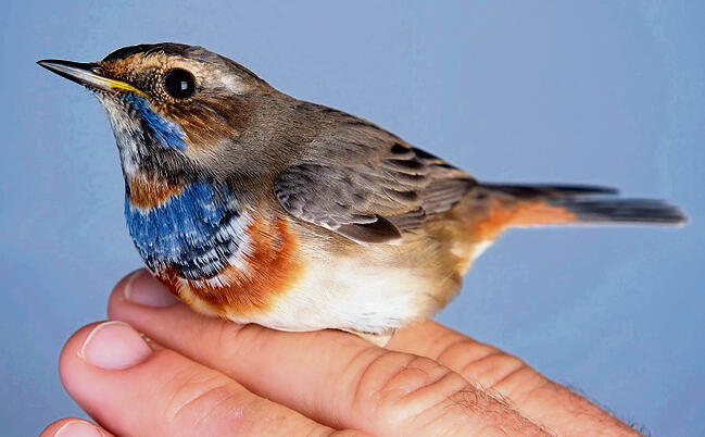 צילום: תומר אדמון yk14569992