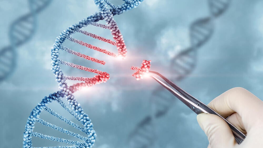 באמצעות טכנולוגיית CRISPR הצליחו החוקרים “לכבות” אלפי גנים בזה אחר זה ולבדוק אילו מהם חיוניים להתפתחות תאי עצב (צילום: Shutterstock) crispr, dna