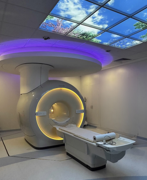 דוברות המרכז הרפואי וולפסון