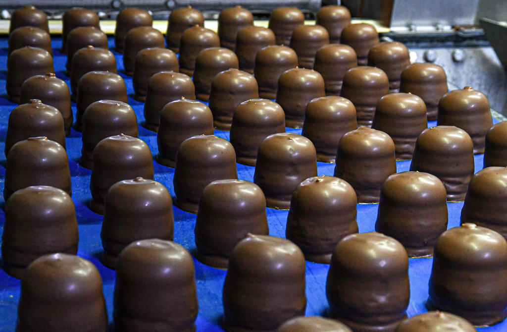 צילום: נחום סגל yk14578911