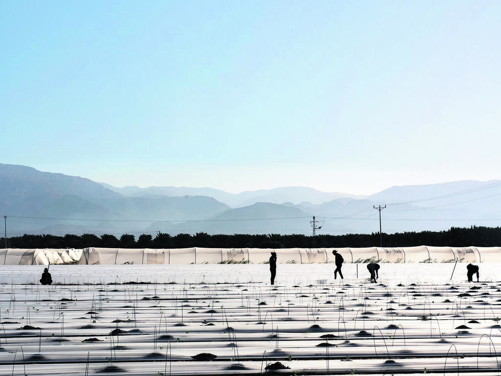 צילום: יעל ליכטנשטיין