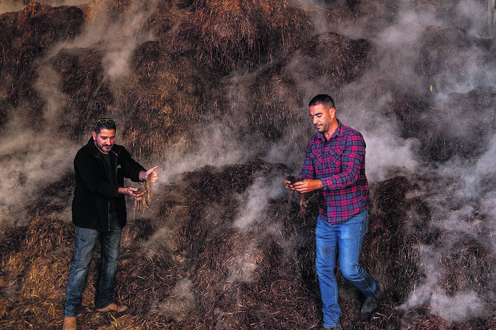 צילום: מיכאל אגור