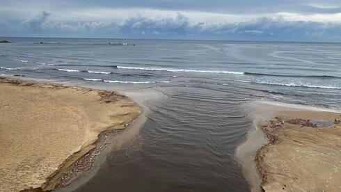 Black sea: Israel’s beaches face sharp rise in pollution as contaminated runoff forces closures