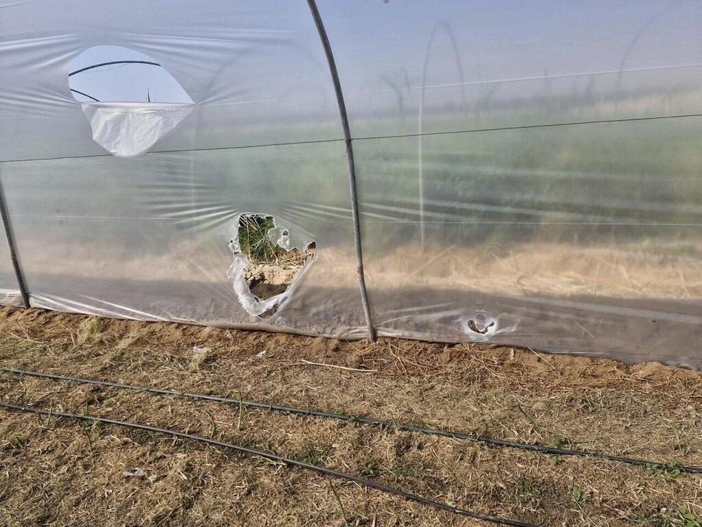 נזק לחממות (צילום: מועצה אזורית תמר) נזק לחממות