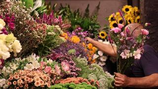 שוקי מזרחי, מ״פרחי הלה״