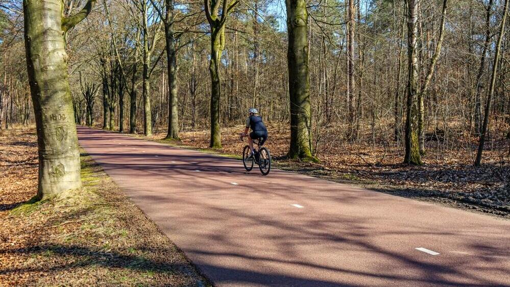 ילדים מקבלי שיעורי רכיבה בבית הספר היסודי. שבילי אופניים בהולנד (צילום: shutterstock) שבילי אופניים בהולנד