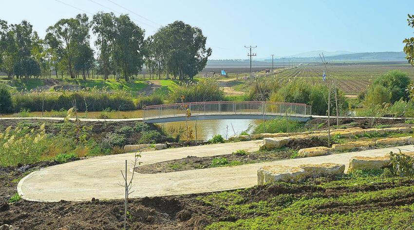 אחרי | צילום: מיכאל חורי, קק"ל yk14595850