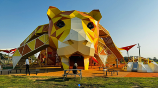  The Lion Playground Structure at Eco Park Ashkelon
