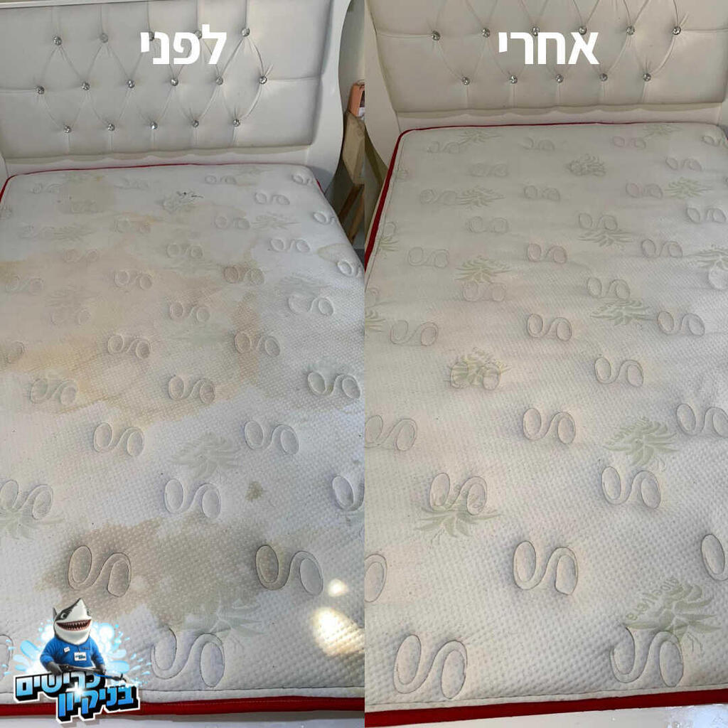 לפני ואחרי ניקיון של הכרישים בניקיון 