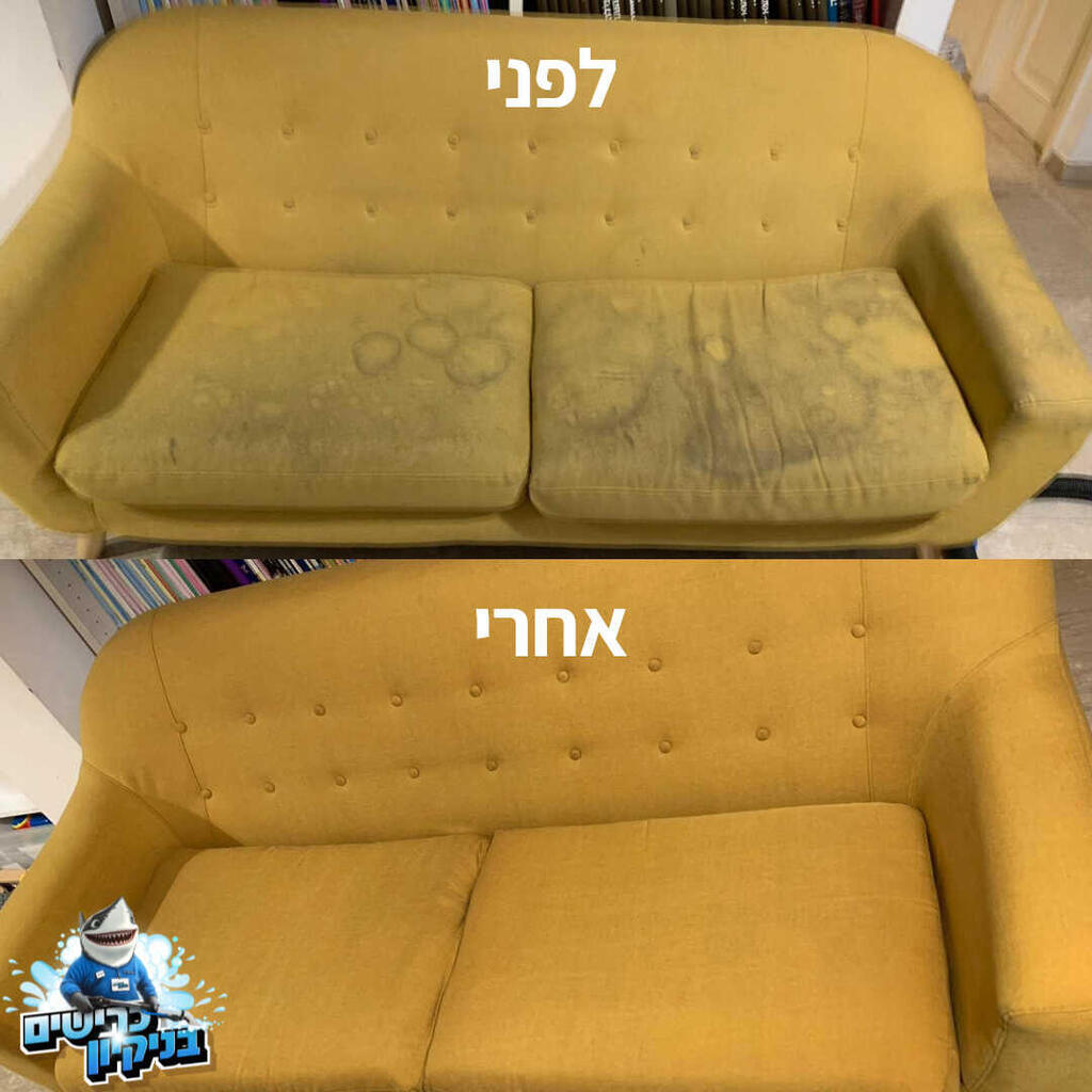 לפני ואחרי ניקיון של הכרישים בניקיון 