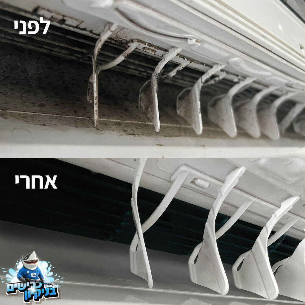 לפני ואחרי ניקיון של הכרישים בניקיון 