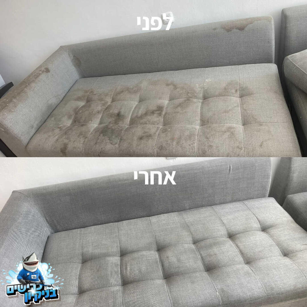 לפני ואחרי ניקיון של הכרישים בניקיון 