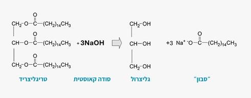 https://ynet-pic1.yit.co.il/picserver6/crop_images/2025/12/04/HJBqgk60ZZx/HJBqgk60ZZx_0_0_850_333_0_large.jpg