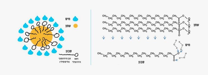 בעזרת סבון אפשר לערבב שמן ומים. משמאל: זנבות "אוהבי שמן" של מולקולות סבון נכנסים לתוך טיפת שמן (בצהוב). הראשים "אוהבי המים" נשארים בחוץ ומצפים את טיפת השמן, מה שמאפשר לה להתערבב עם מולקולות המים. מימין: מבנה המולקולות והקשרים שנוצרים ביניהם (מסומנים בחיצים): הטריגליצריד שלמעלה נקשר לזנב של מולקולת הסבון, ואילו המים נקשרים לראש שלה, בעל המטען החשמלי השלילי 